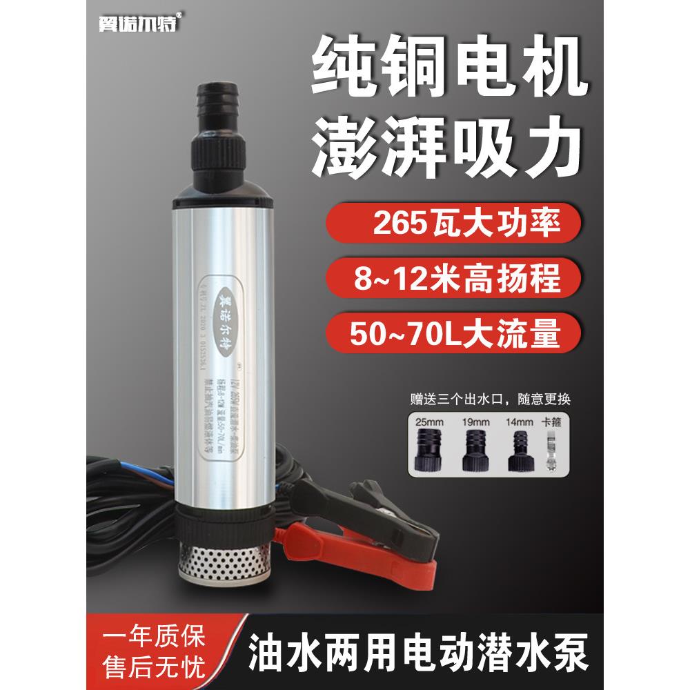 12V电动柴油抽油泵抽水泵大功率抽泵24V小型潜水泵220V抽油