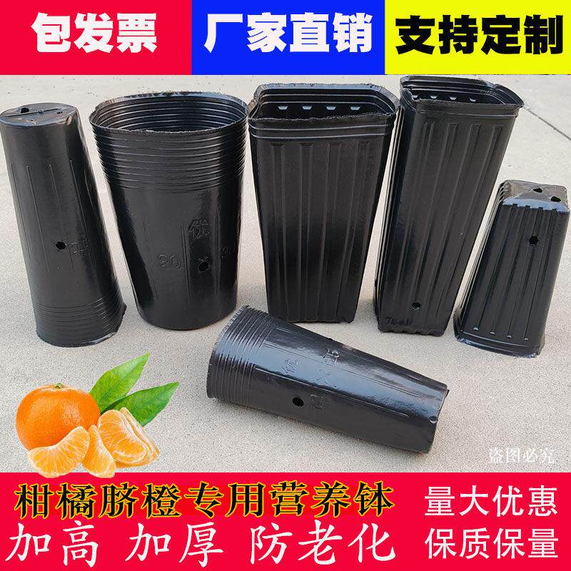 营养钵细长育苗杯圆口营养杯黑育苗盆方口提根蔷薇柑橘桶加高加厚