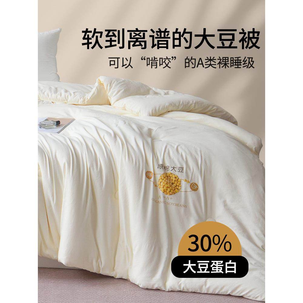 原棉大豆被子加厚保暖冬被被被芯纯棉春秋被四季通用宿舍单人棉被