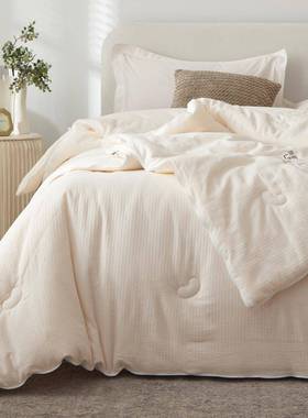 A棉59%大豆纤维被全棉春朴冬秋JFX20117被芯加厚被子四季类用二合