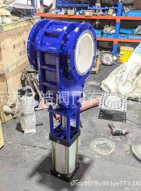 气动陶板瓷双闸阀Z644T气力输送气锁阀双碟直阀动耐磨进KWKC料出