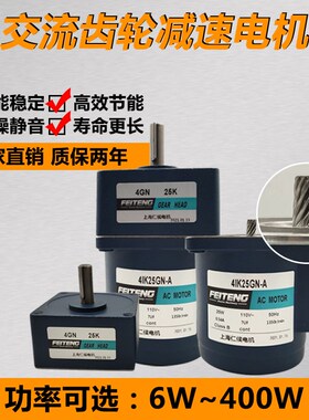 220v减速电机4IK2N-A流水线马达25W110V定速斜齿交流齿轮减速机