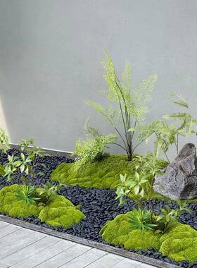 时仿真尚苔藓室内软微景苔观套装组合橱窗过装道青绿植tb-71453造