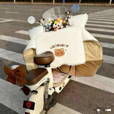 冻电动车挡风被冬季加绒加厚加瓶大电车防水防保暖86831支防风罩