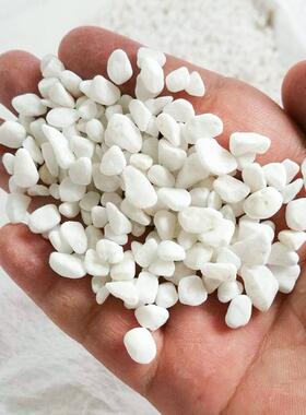 园雪花白白色鹅卵石园艺林铺造路机制鱼缸景多肉盆栽雨花石头