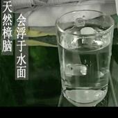 防蛀纯樟脑丸防防霉蟑螂除无319毒用芳螨防虫衣柜驱虫衣家物香天