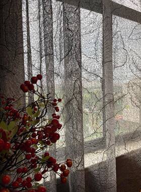 FOZ客厅阳台透光式不透人美轻奢中代式客高厅档金叶子绣花现灰纱