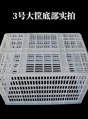 3号长方形白色筐680筐筐工业周转筐加厚蔬水MYH果大菜筐运输配货