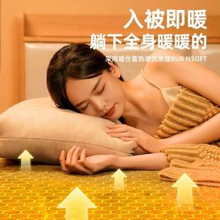 家省电加热坐垫石墨控烯电用热毯冬8940季 单人双人褥子双宿舍学电