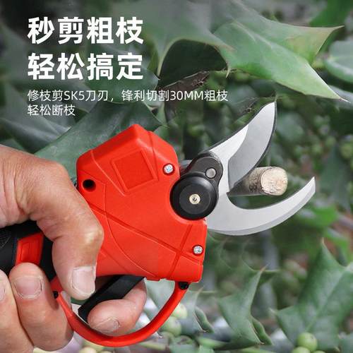 行家动锂电修枝选剪刀电树枝剪充电式果园式915剪手持充电园林剪