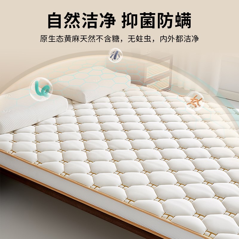 黄麻护脊腰卧室家用床垫单人垫子B榻榻米租房专用可折叠床垫子软