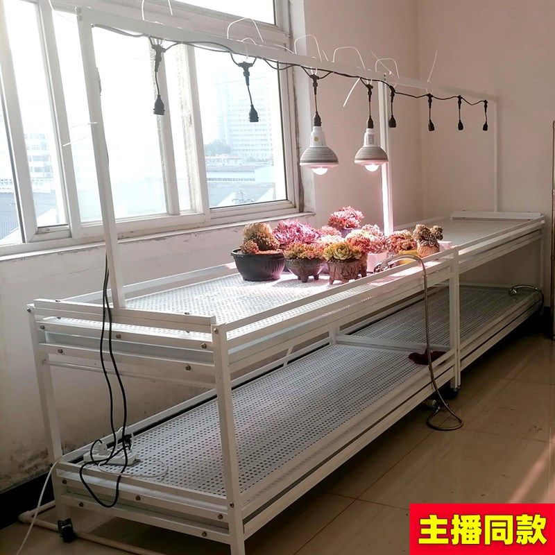 多层阶梯浇水不锈钢花架落地阳台风扇补光灯养多肉块根龟甲龙植物