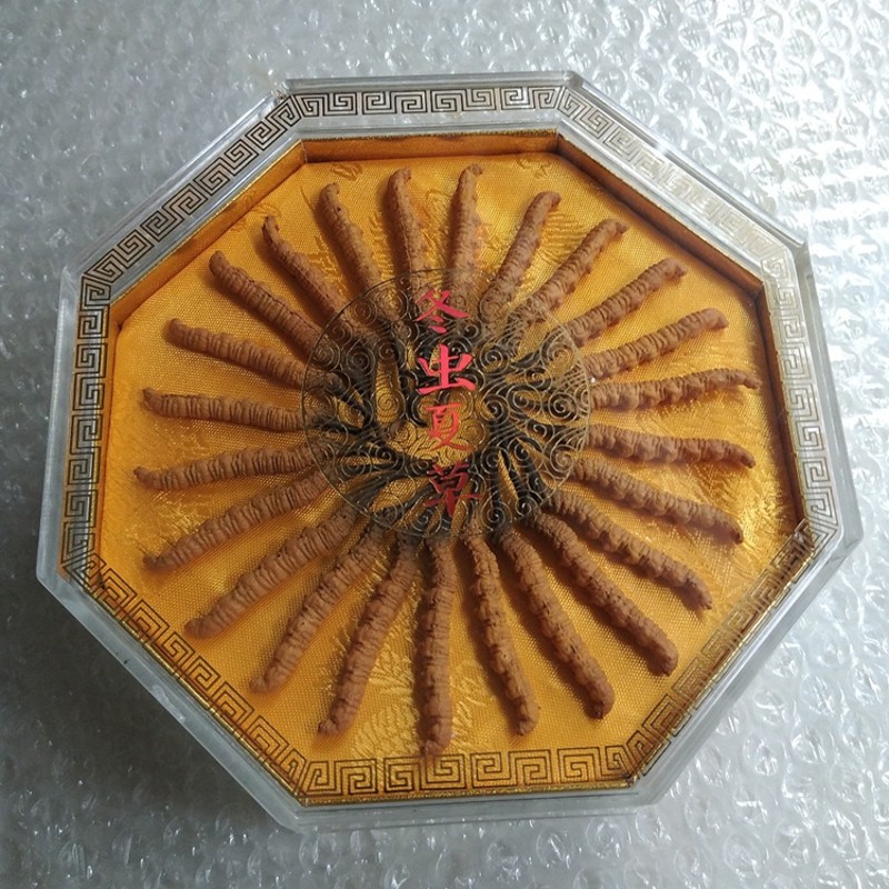 八角盒装虫草缝绳摆件虫草工艺摆件橱柜展示广告物料送礼礼品