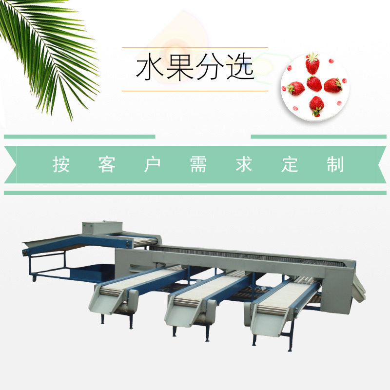 新款多功能水果分级机  圣女果龙眼筛选机稳定上料精准筛果不耗电