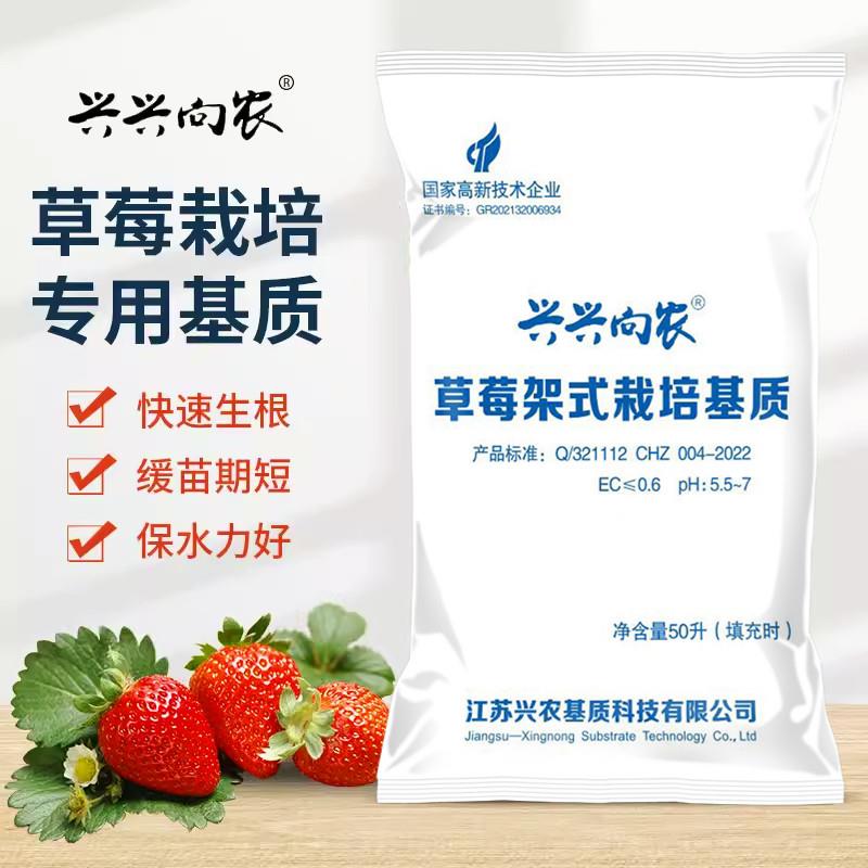 兴农草莓栽培基质专用型营养土肥料草莓的土专用种植盆栽土壤泥土