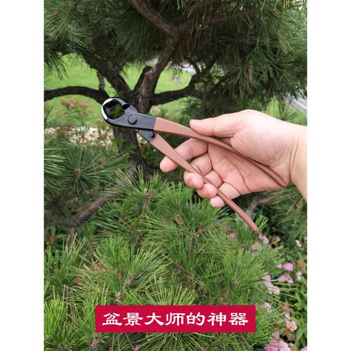 采购产品球关节剪刀，专业盆景工具，球剪刀，球结剪刀，盆栽植物