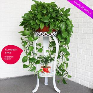 欧式花架室内单层铁制花盆架落地式家庭阳台吊兰绿植花架