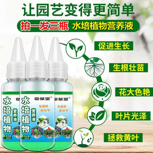 水培植物营养液通用型专用肥养花肥料花卉绿植用免稀释液体水养花