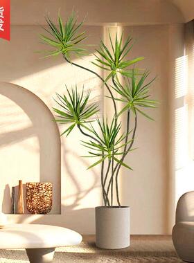 龙血树盆栽绿植室BIX寉内大型客大盆厅景头龙铁树多龙须树办公室