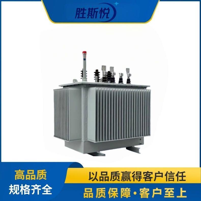 胜斯悦三相大功率油浸式电力变压器