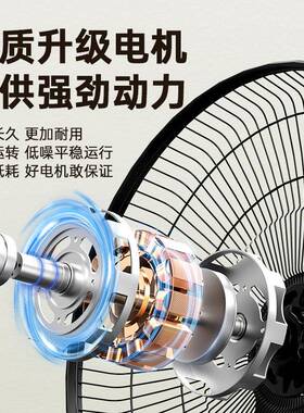 钻石牌电扇落地1FS-40-328英寸家风用轻音风扇扇大风力宿摇头舍立