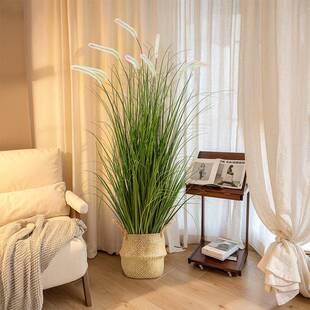 真绿植高级感芦苇装草狗尾厅草家YJ-00143居客摆仿件假树室内饰软