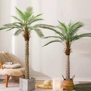 大型棕榈树葵006针椰子树尾散葵仿树室内真装饰造景盆栽仿真植物