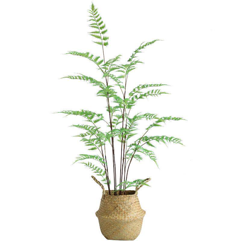 泰环蕨系桫椤树仿真植物盆装栽森大型类绿植北欧室内落TM647459地