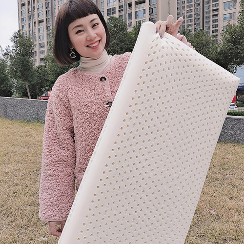 单人枕头48x74cm枕套专用乳胶枕防螨橡胶结婚乔迁用酒店宿舍 枕芯