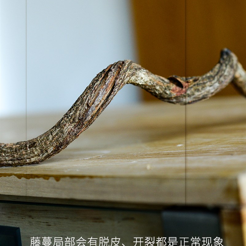 爬虫攀爬藤蔓藤条树枝景观装饰豹纹守宫蜥蜴造景植物玻璃箱装饰