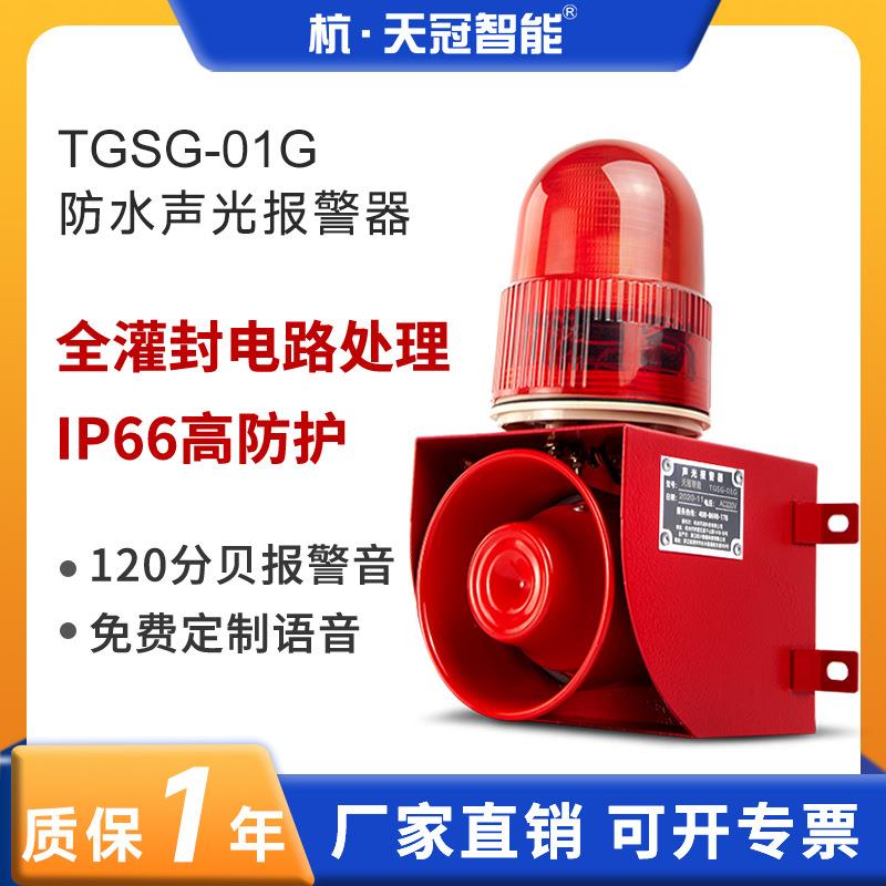 TGSG-01G室外防水声光报警器 港口码头 户外防尘防雨报警器IP66