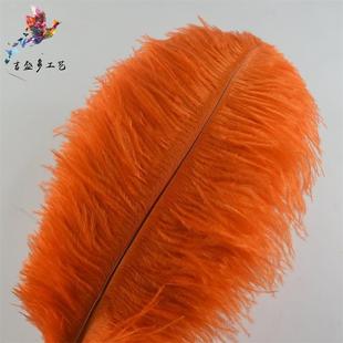 质优量7毛0 GQY75cm染色大驼鸟羽毛鸵毛漂白驼鸟现货鸟供应