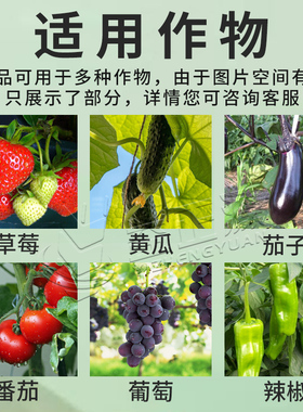 立凉高效遮阳利凉蔬菜大棚暖棚大棚膜专用防晒剂降温剂涂料喷雾剂