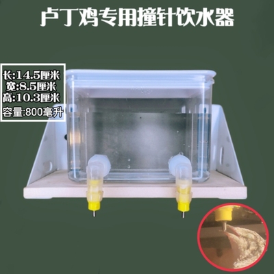 芦丁鸡食盒自动喂食器宠物用品卢丁鸡专用喂水饮水撞针饮水器防刨
