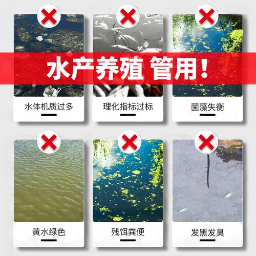 复合枯草芽孢杆菌水产养殖专用EM益生菌种调水净水质降解亚盐氨氮