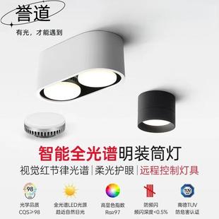 誉道明装双头筒灯椭圆形盒子灯玄关过道筒灯可换光源单头入户泛光