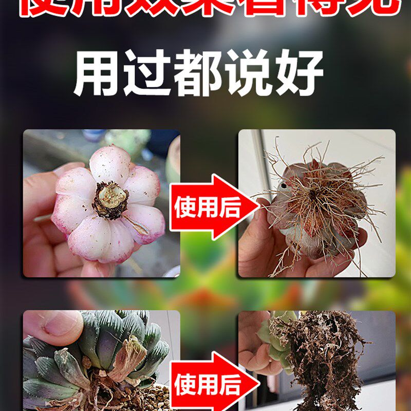多肉专用生根粉多灵菌药水复活液扦插育苗神器快速壮苗剂植物通用