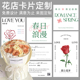 花店卡片定制花束logo店名鲜花寄语硬卡纸设计情人节女神节简约花