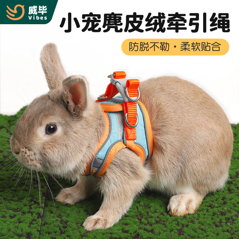 兔子牵引绳防挣脱可调节溜兔绳外出绳神器侏儒幼兔外出用品防咬,宠物/宠物食品及用品,兔绳,淘宝优惠券,粉丝福利购,淘宝优惠卷