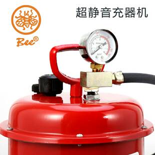 蜜蜂静音充气泵220V蓝球足球气球电动车摩拖车自行车汽车打气包邮