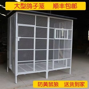 养鸽子专用笼家用繁殖配对信鸽笼多层特大号鸟笼鸡笼巢箱鸽舍鸽棚