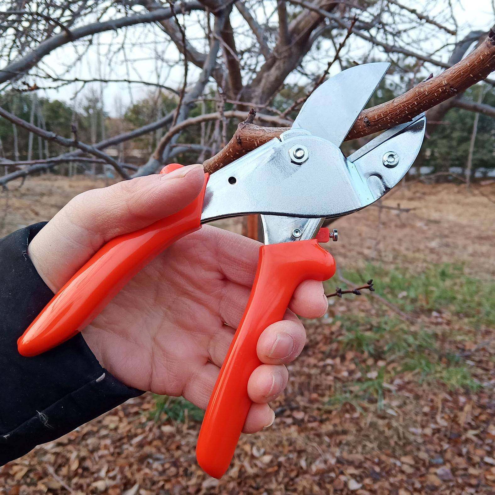 易速S3J88修枝剪葡枝剪刀果剪刀省易速SJ88树力修枝剪萄花枝园林,鲜花速递/花卉仿真/绿植园艺,剪刀,淘宝优惠券,粉丝福利购,淘宝优惠卷