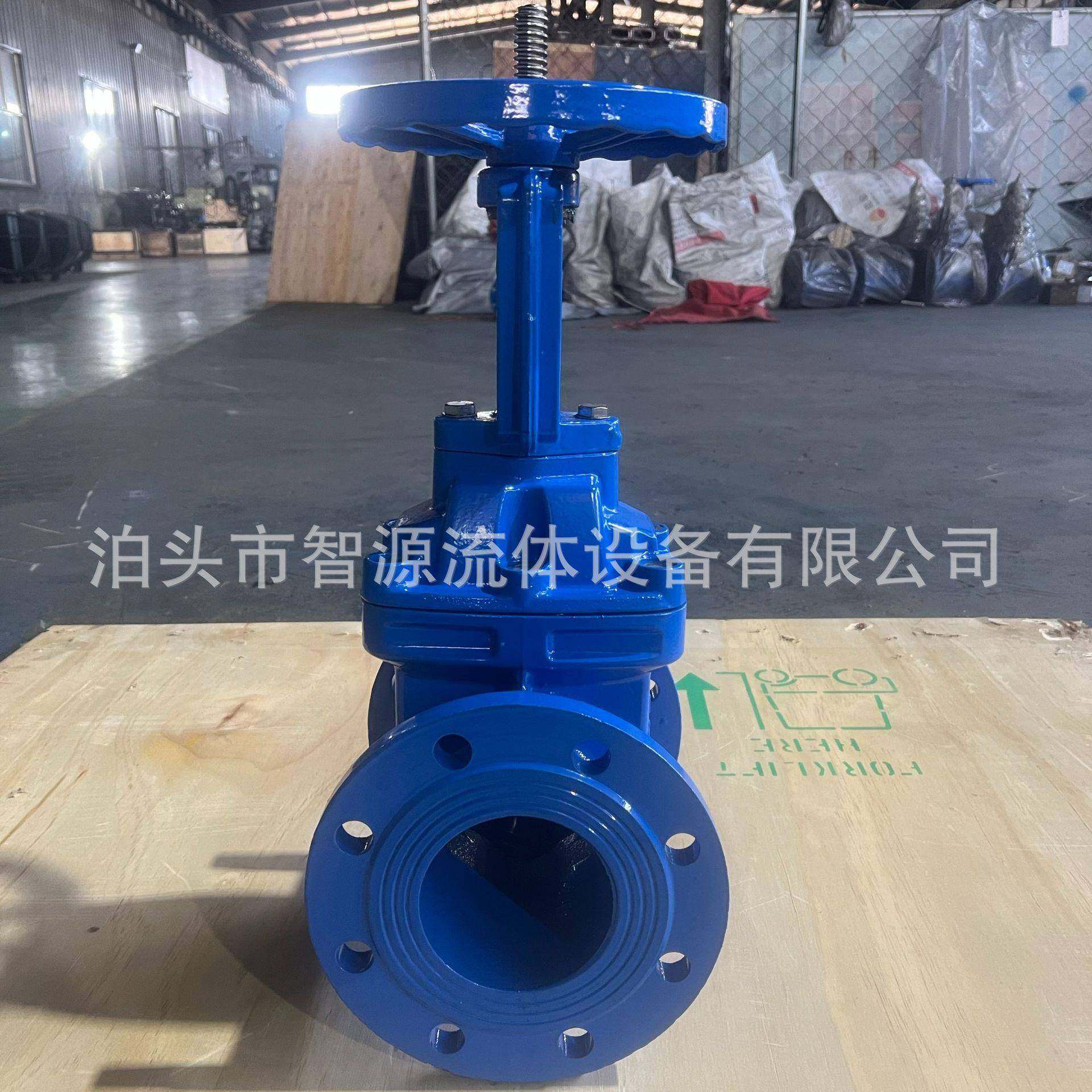 软密封封明闸杆闸阀厂家铸铁弹性座法兰防护阀Z41X1-6Q90745阀门