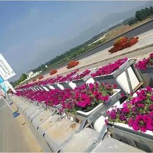 玻璃钢花花盆树脂花盆高架桥悬挂植箱白色长形方市BIT种政