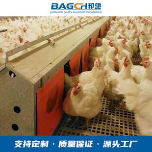 种鸡养殖喂料线蛋鸡自动收蛋器大窝产蛋箱养殖场用收蛋集蛋器