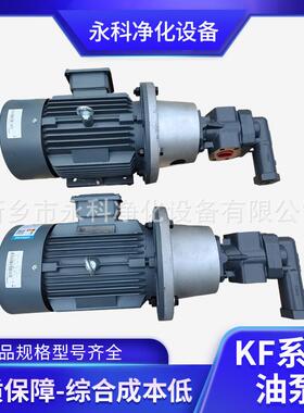 循环泵KF63 6F20 A0ZV0 00GGE0 GDW+D2 F2 D15齿轮泵