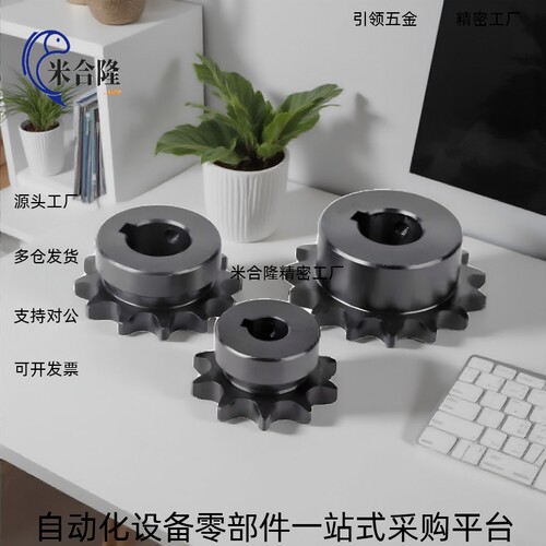 链轮VLY11-08B-18 19 20 21 22 24 25-D12 15 16 17 18 20 25 30