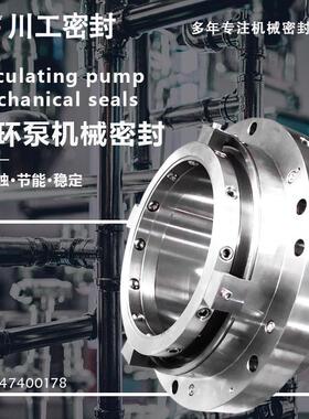 ZWQEMZ-1100-A1-330-PN6 ZWX11EMZ-1100-A1-330 浆液循环泵用机封