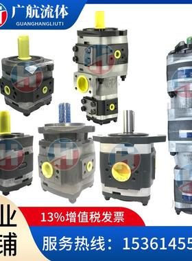 VOITH福伊特IPV3-3.5 IPVP3-3.5 IPVAP3-3.5 IPC3-3.5 101齿轮泵