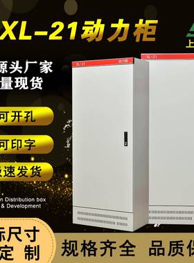 低压配电柜动力柜免费开孔带金属锁动力柜XL-21低压配电柜箱